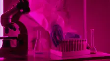 AI Drug Discovery: What It Has Actually Found