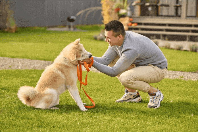 Trained Dog