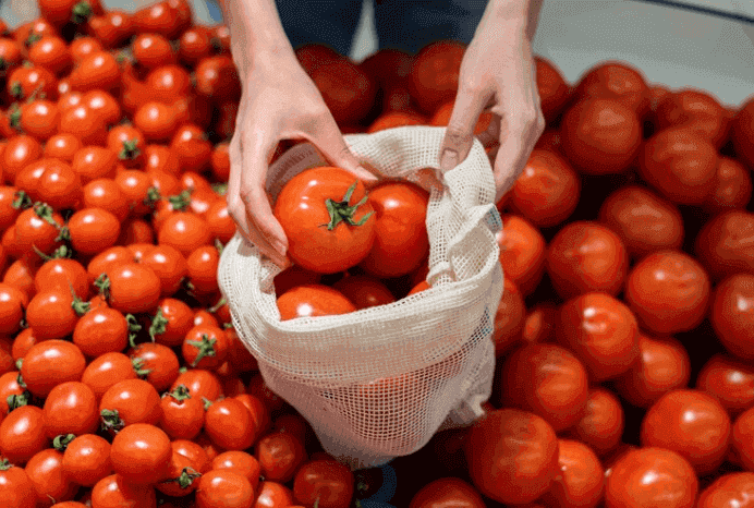 Dry farmed tomatoes